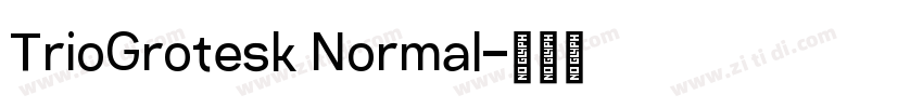 TrioGrotesk Normal字体转换